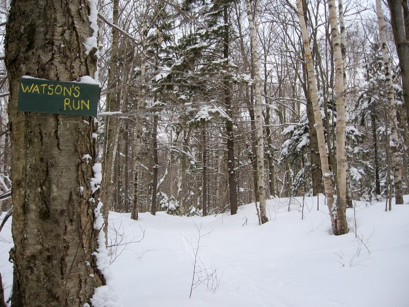 Camel's Hump Nordic Ski Area Trail Finder